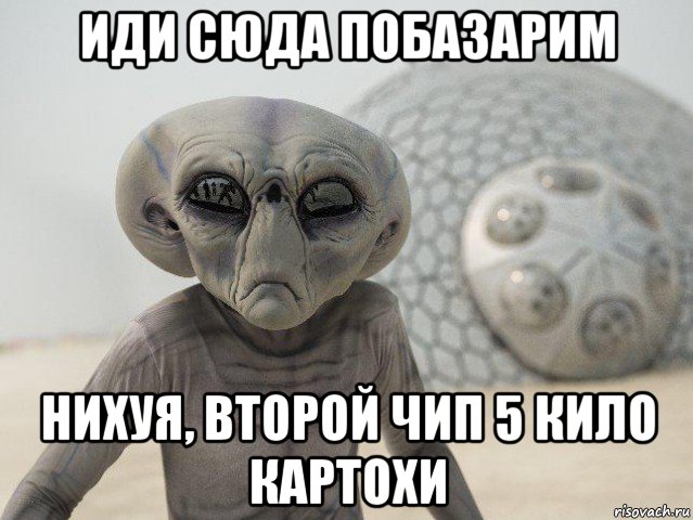 иди сюда побазарим нихуя, второй чип 5 кило картохи