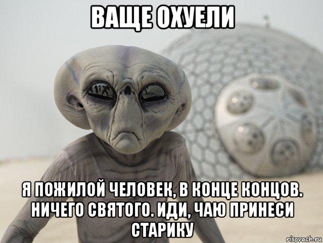 ваще охуели я пожилой человек, в конце концов. ничего святого. иди, чаю принеси старику