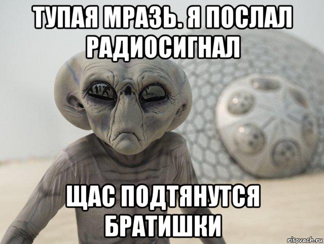 тупая мразь. я послал радиосигнал щас подтянутся братишки