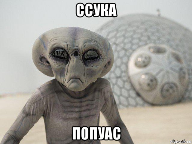 ссука попуас