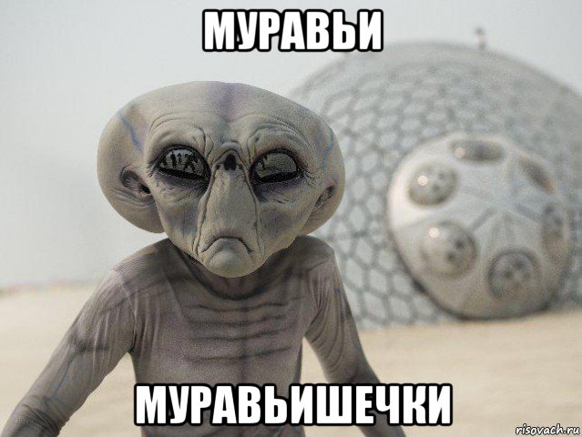 муравьи муравьишечки