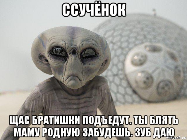 ссучёнок щас братишки подъедут. ты блять маму родную забудешь. зуб даю