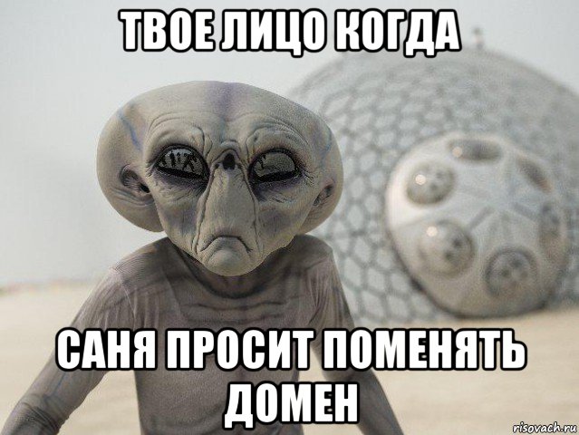 твое лицо когда саня просит поменять домен