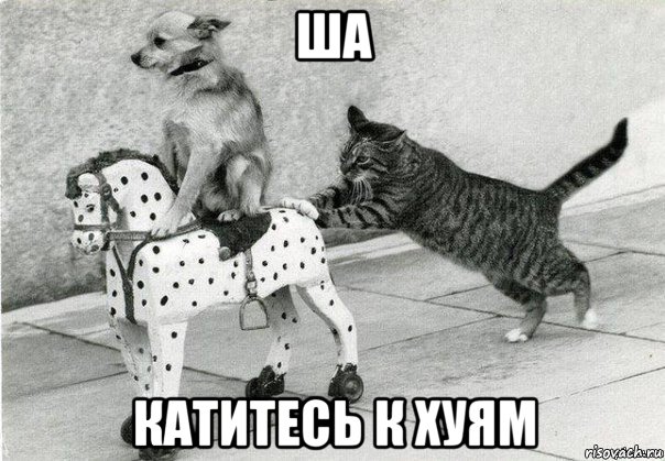 ша катитесь к хуям, Мем Катись к хуям