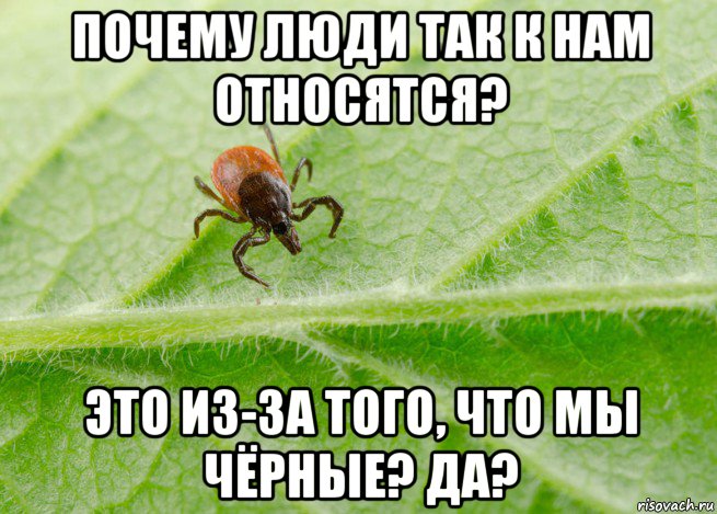 почему люди так к нам относятся? это из-за того, что мы чёрные? да?, Мем Клещ
