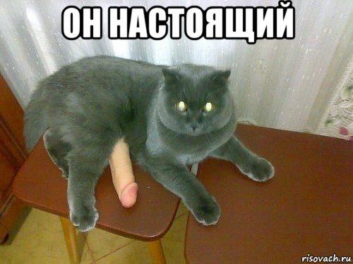 он настоящий 