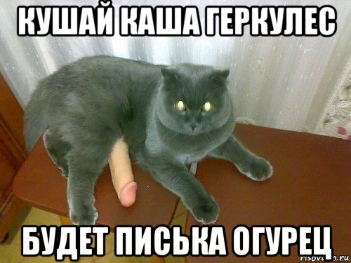 кушай каша геркулес будет писька огурец