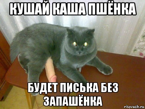 кушай каша пшёнка будет писька без запашёнка