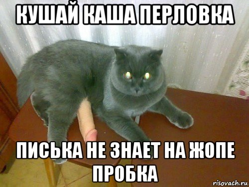 кушай каша перловка писька не знает на жопе пробка
