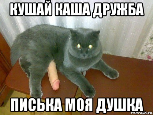 кушай каша дружба писька моя душка
