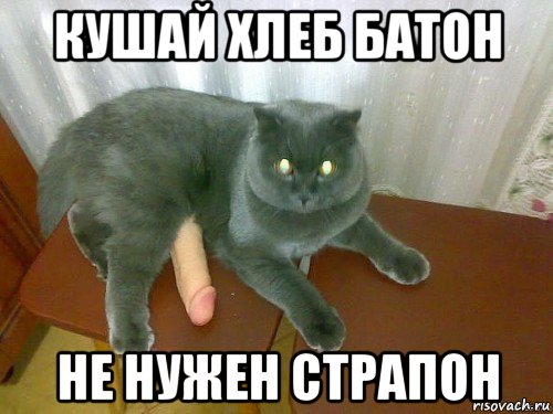 кушай хлеб батон не нужен страпон