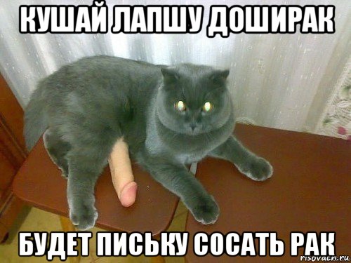 кушай лапшу доширак будет письку сосать рак