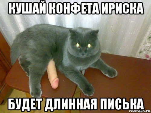 кушай конфета ириска будет длинная писька