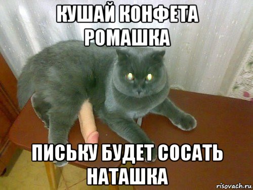 кушай конфета ромашка письку будет сосать наташка
