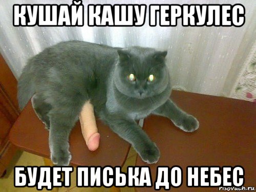 кушай кашу геркулес будет писька до небес