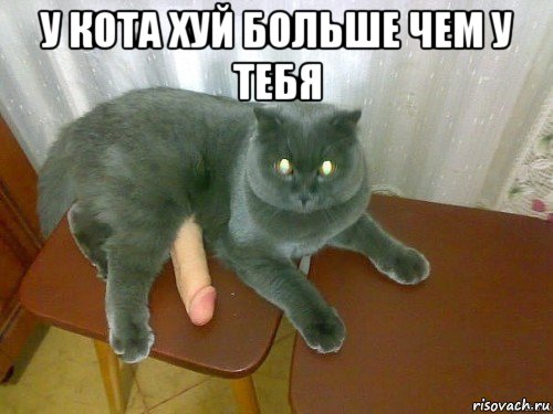 у кота хуй больше чем у тебя 