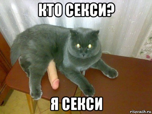 кто секси? я секси
