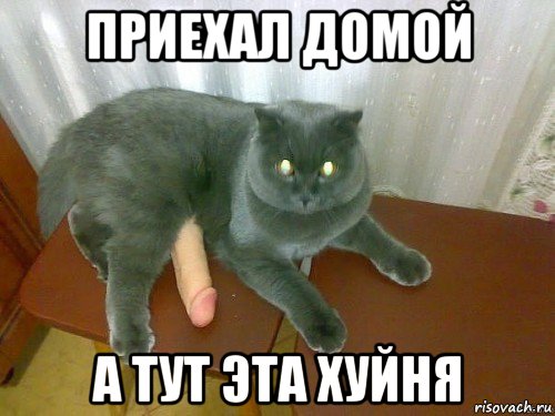 приехал домой а тут эта хуйня