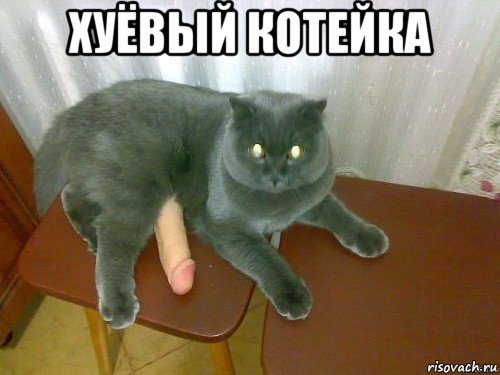хуёвый котейка 