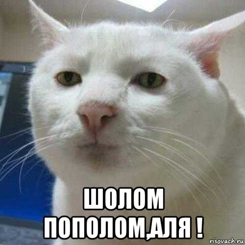  шолом пополом,аля !