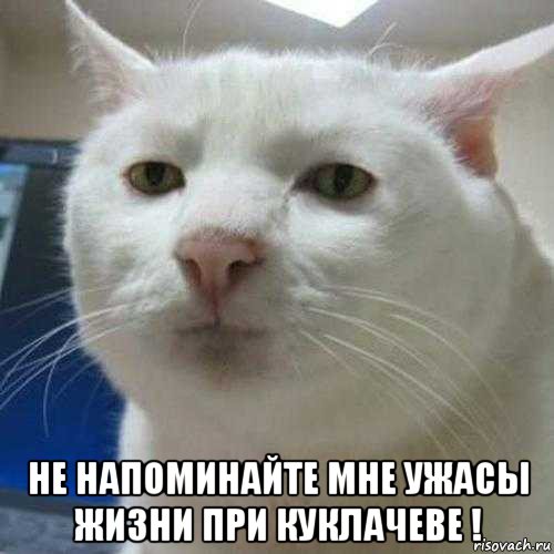  не напоминайте мне ужасы жизни при куклачеве !