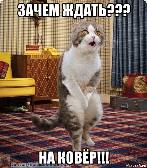 зачем ждать??? на ковёр!!!