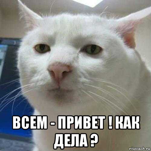  всем - привет ! как дела ?