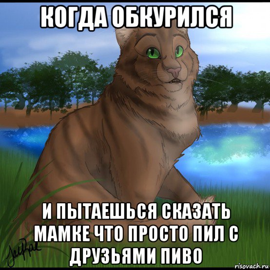 когда обкурился и пытаешься сказать мамке что просто пил с друзьями пиво, Мем Коты-воители