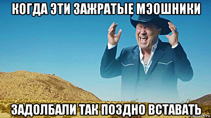 когда эти зажратые мэошники задолбали так поздно вставать