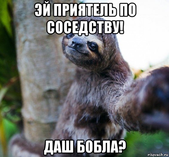 эй приятель по соседству! даш бобла?