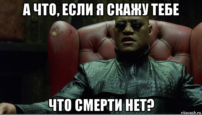 а что, если я скажу тебе что смерти нет?