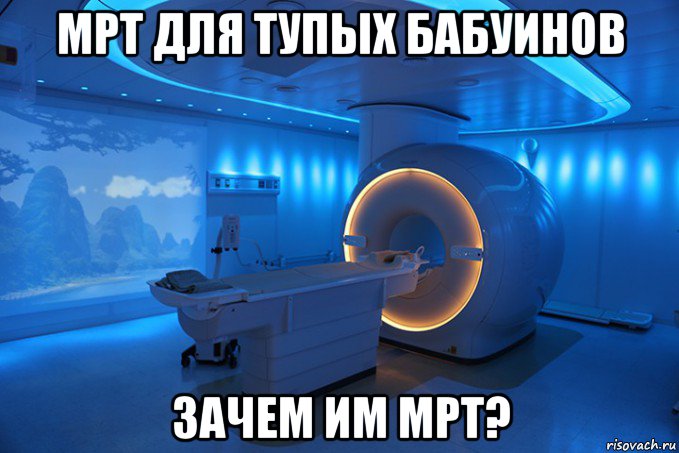 мрт для тупых бабуинов зачем им мрт?