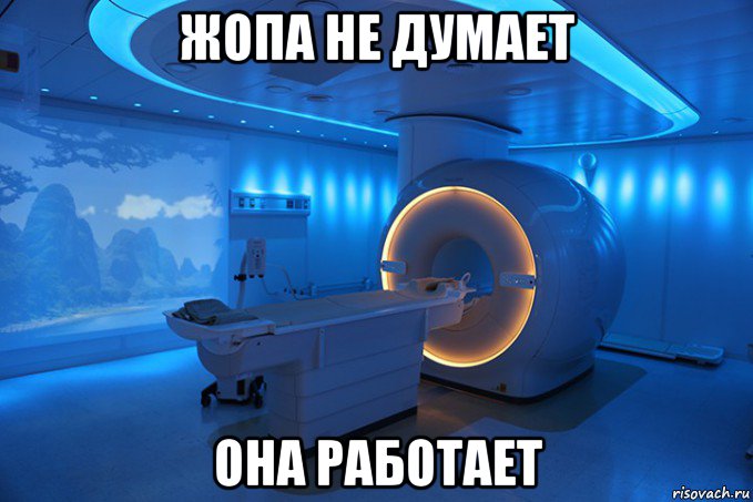 жопа не думает она работает