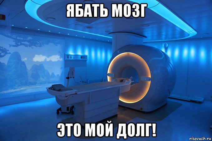 ябать мозг это мой долг!