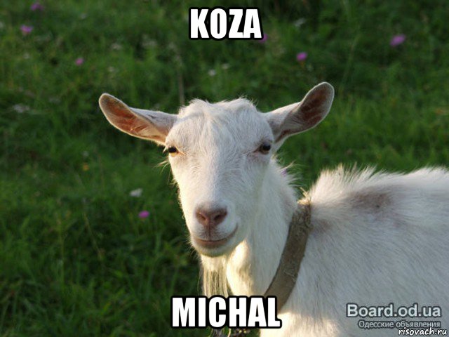 koza michal, Мем  Наивная коза