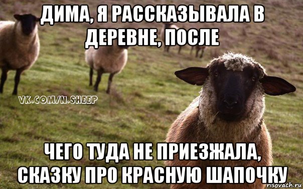 дима, я рассказывала в деревне, после чего туда не приезжала, сказку про красную шапочку, Мем  Наивная Овца