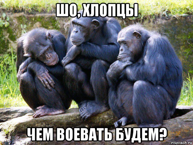 шо, хлопцы чем воевать будем?