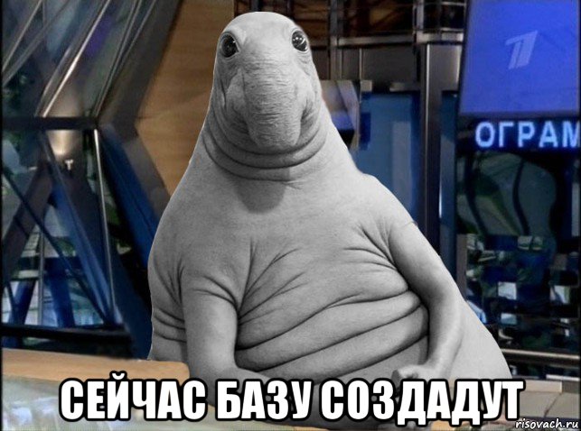  сейчас базу создадут