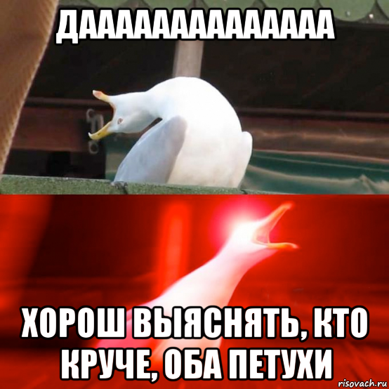 даааааааааааааа хорош выяснять, кто круче, оба петухи
