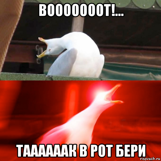вооооооот!... таааааак в рот бери