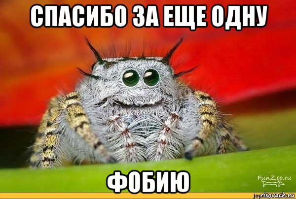 спасибо за еще одну фобию, Мем Паук например