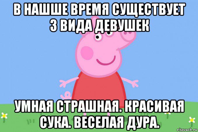 в нашше время существует 3 вида девушек умная страшная. красивая сука. веселая дура., Мем Пеппа