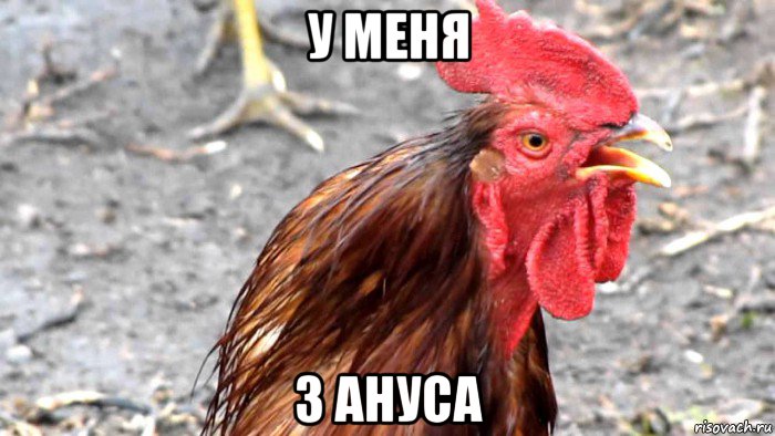у меня 3 ануса