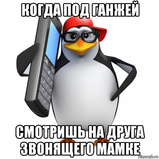 когда под ганжей смотришь на друга звонящего мамке, Мем   Пингвин звонит