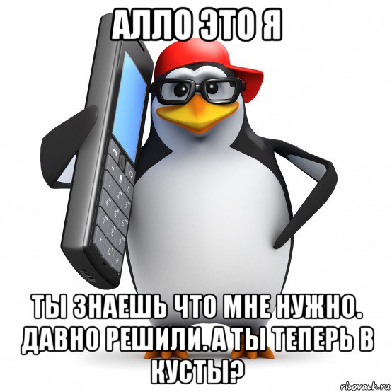 алло это я ты знаешь что мне нужно. давно решили. а ты теперь в кусты?, Мем   Пингвин звонит