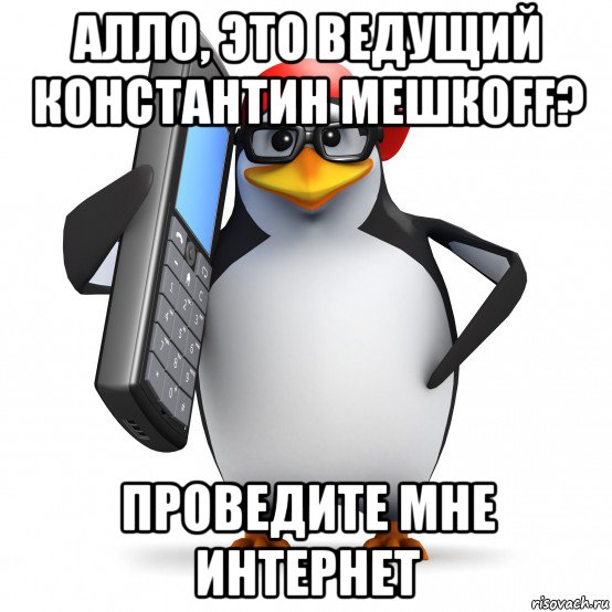 алло, это ведущий константин мешкоff? проведите мне интернет, Мем   Пингвин звонит