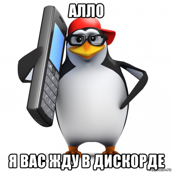 алло я вас жду в дискорде, Мем   Пингвин звонит