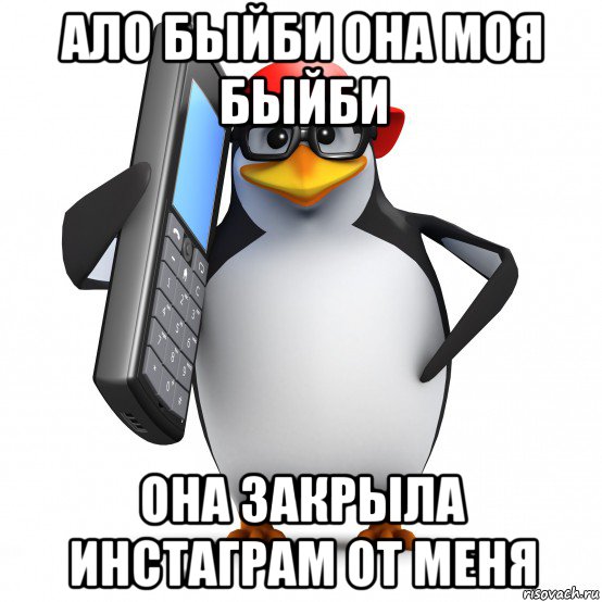 ало быйби она моя быйби она закрыла инстаграм от меня, Мем   Пингвин звонит