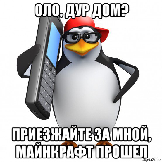 оло, дур дом? приезжайте за мной, майнкрафт прошел, Мем   Пингвин звонит