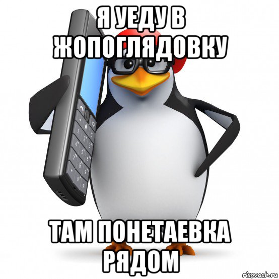 я уеду в жопоглядовку там понетаевка рядом, Мем   Пингвин звонит